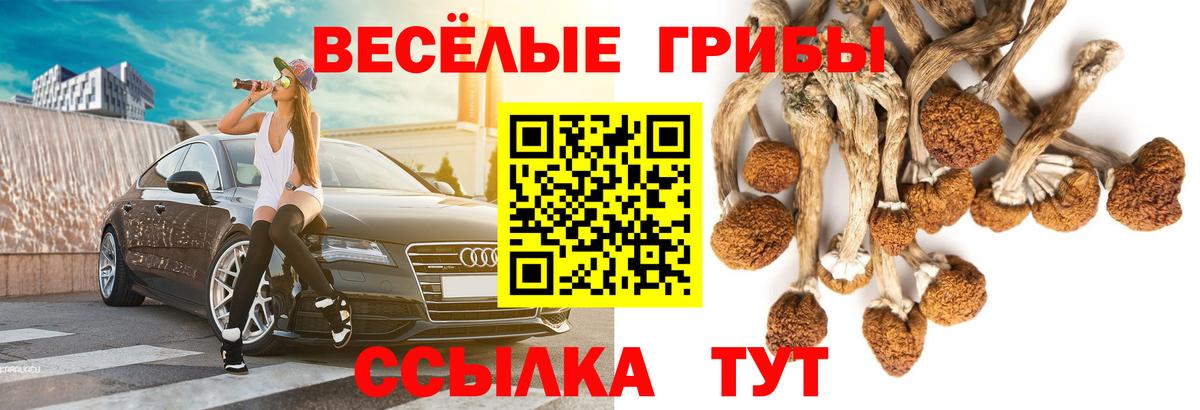 Псилоцибиновые грибы прущие грибы Каспийск